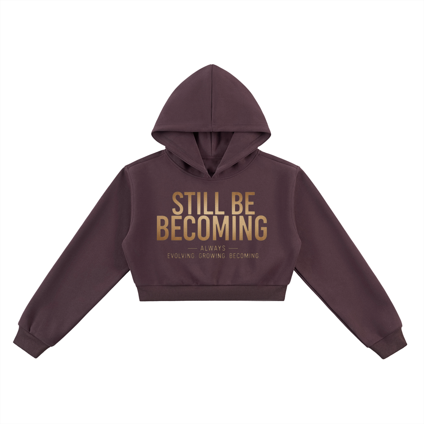 JOURNEY CROP HOODIE