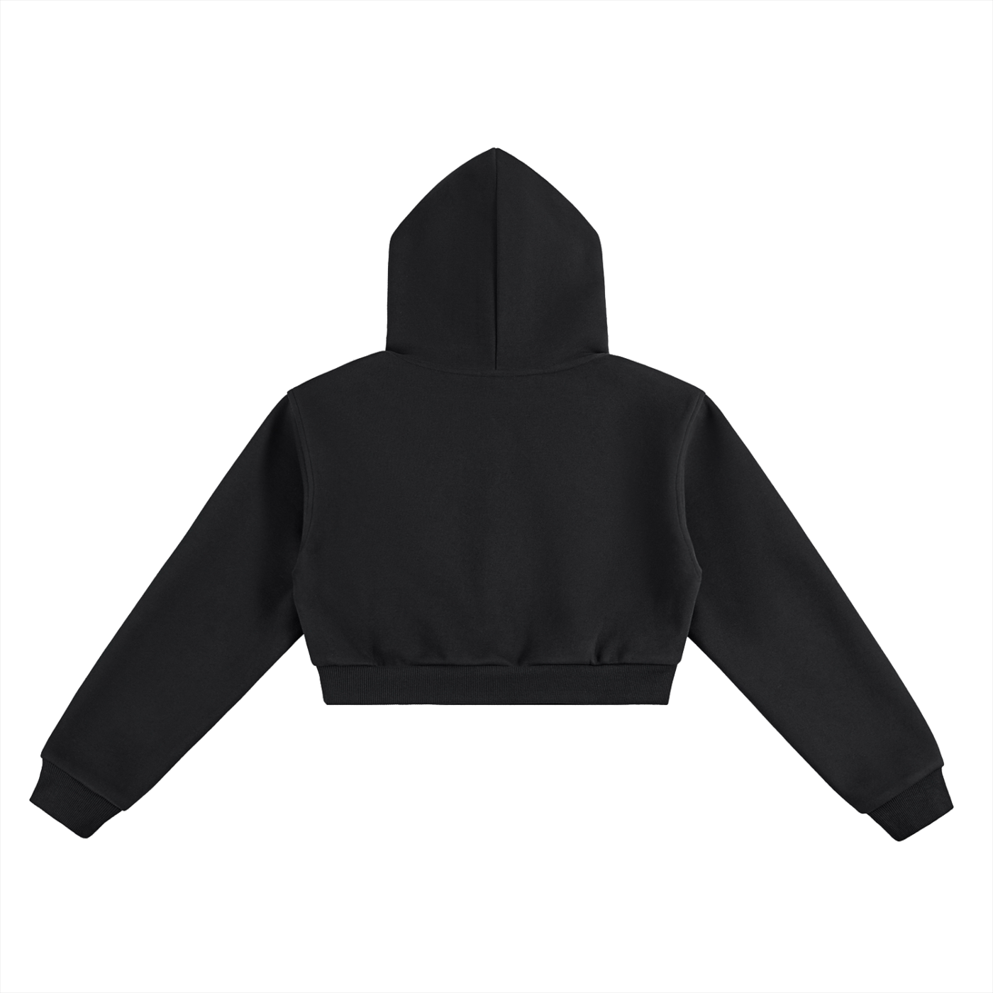 JOURNEY CROP HOODIE